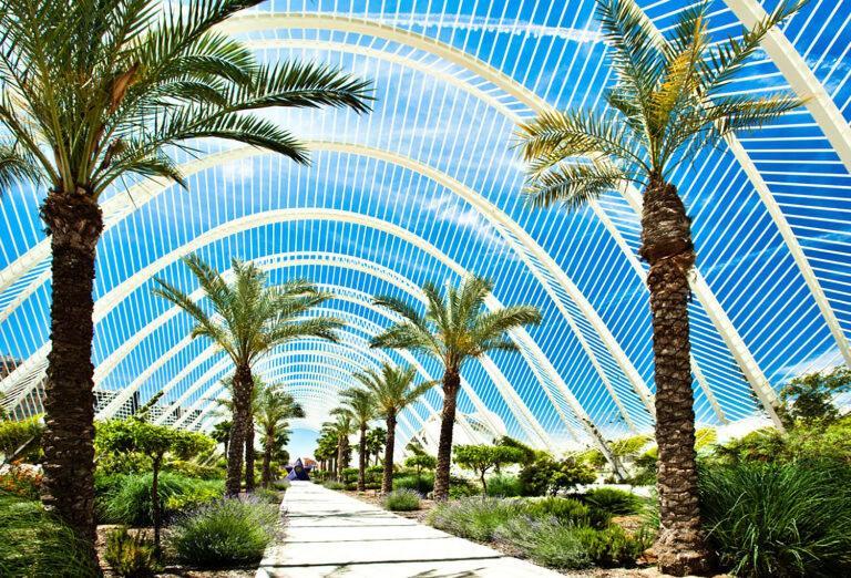 Beautiful Lägenhet Valencia Exteriör bild
